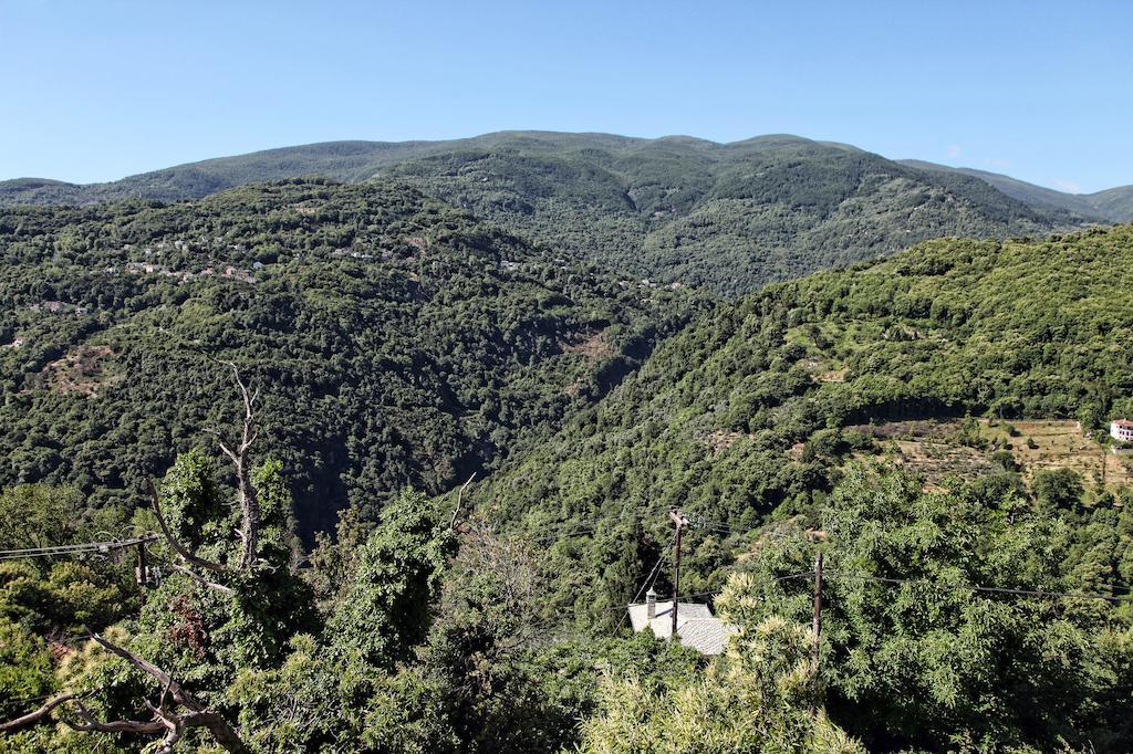 Theta Hotel Pelion Áyios Dhimítrios Exterior foto